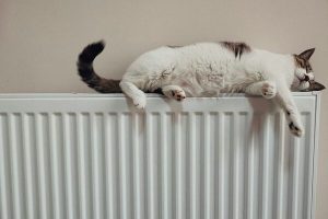 Heating and Cooling card